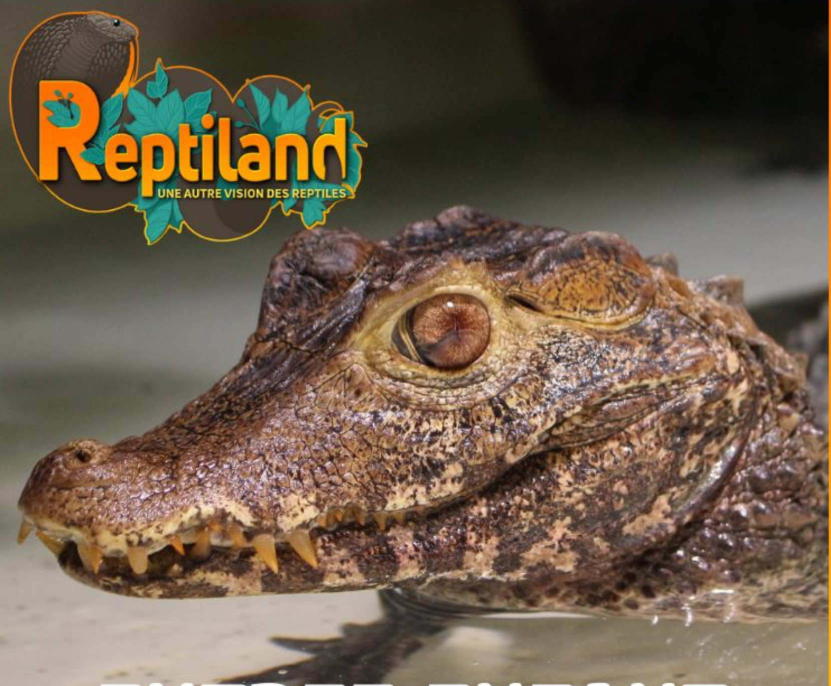 Reptiland Martel
